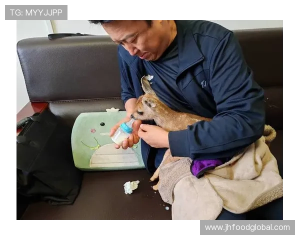 小鹿伤未愈仍能助队 三黄停赛规则受争议